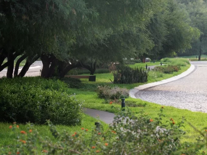 Terreno 250 m2